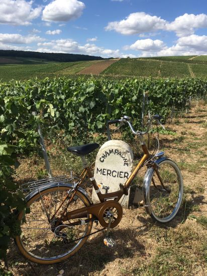 La Champagne à vélo